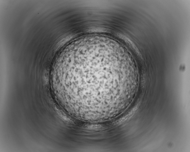 X0000100230833200806131334