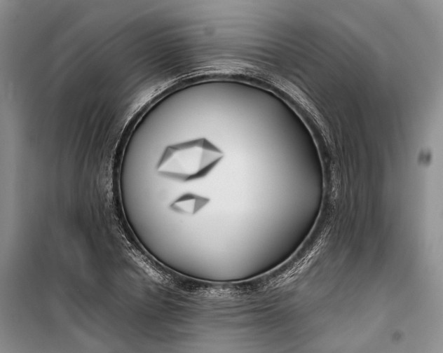 X0000100230834200806131334