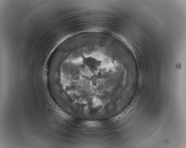 X0000100230835200806131334