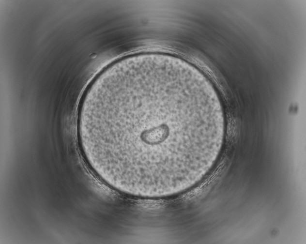 X0000100230836200806131334