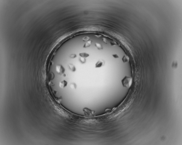 X0000100230837200806131334