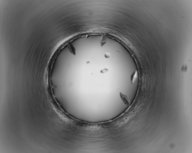 X0000100230838200806131334