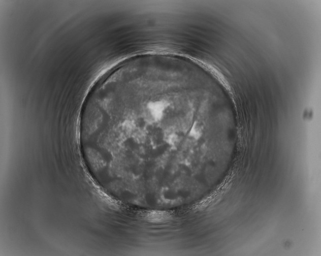 X0000100230839200806131334