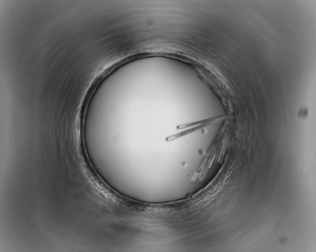 X0000100230840200806131334