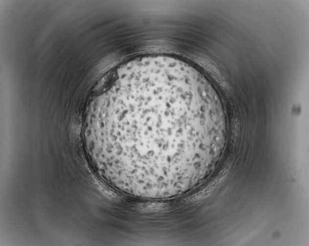 X0000100230841200806131334