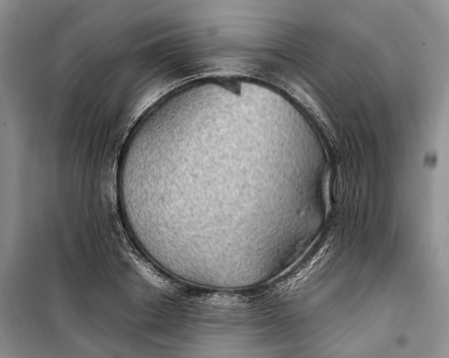 X0000100230842200806131334