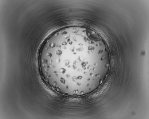 X0000100230843200806131334