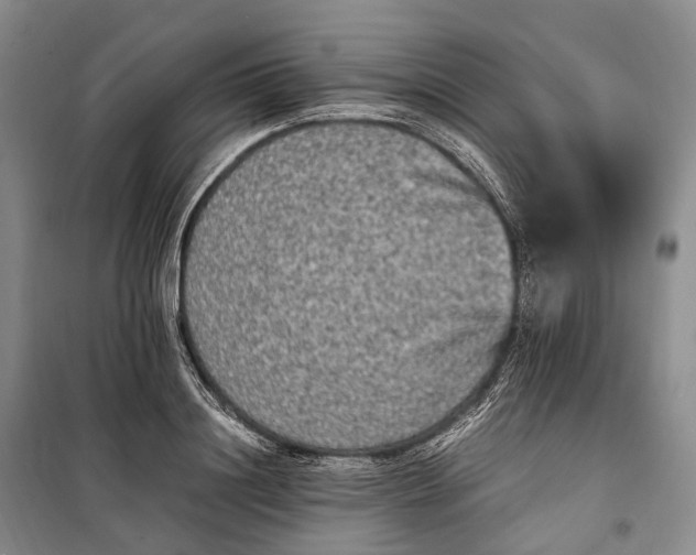 X0000100230844200806131334