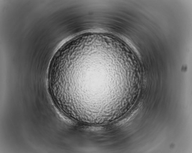 X0000100230845200806131334