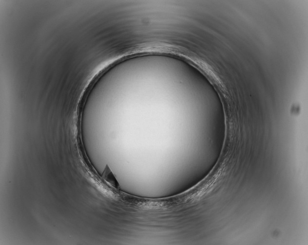 X0000100230846200806131334