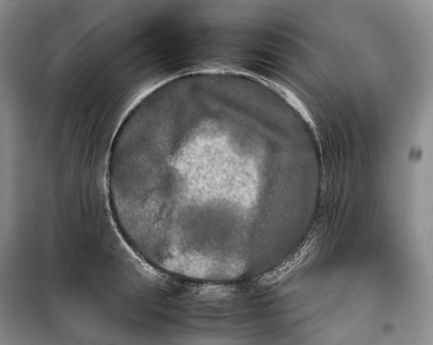 X0000100230847200806131334