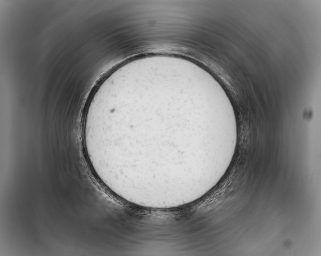 X0000100230848200806131334