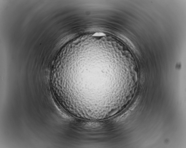 X0000100230849200806131334