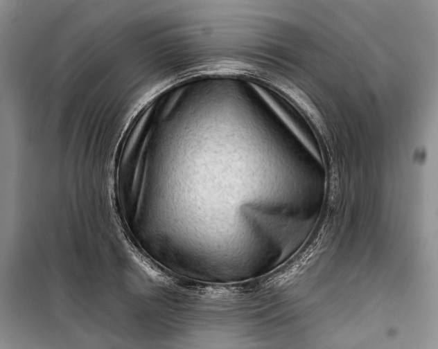 X0000100230850200806131334