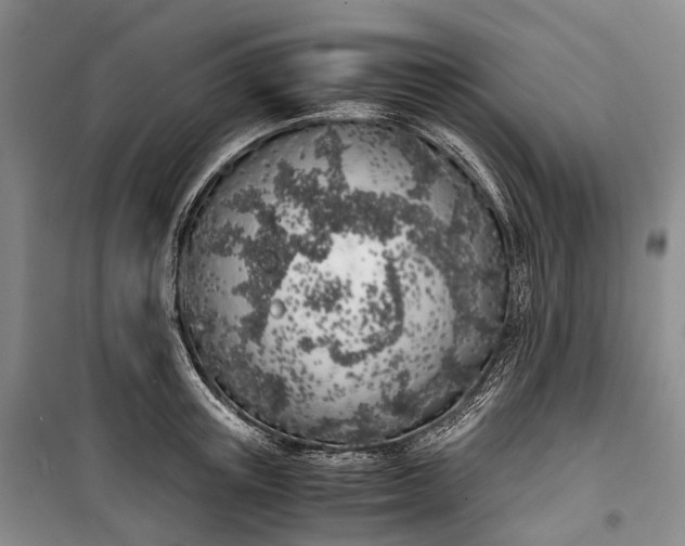 X0000100230851200806131334