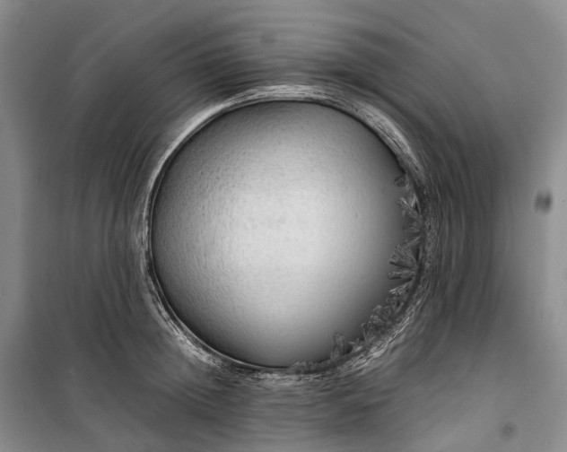 X0000100230852200806131334