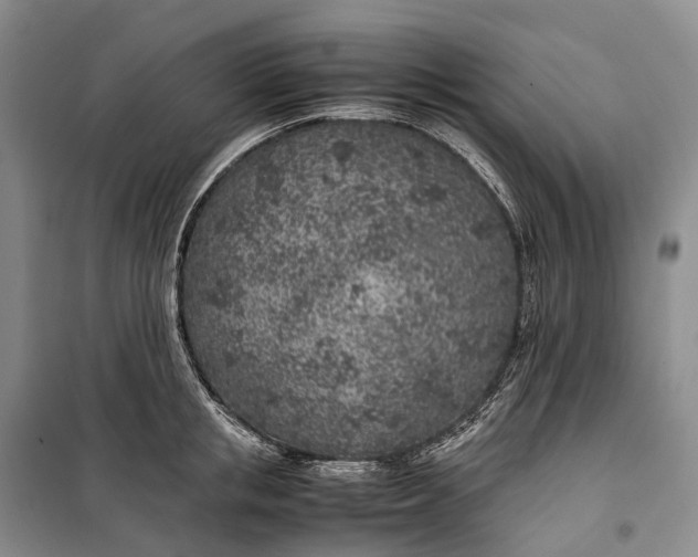 X0000100230853200806131334