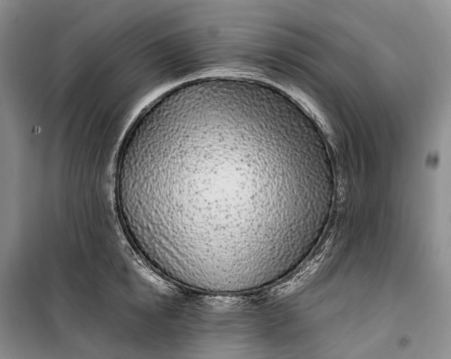 X0000100230854200806131334