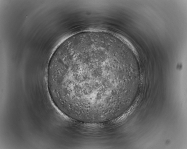 X0000100230855200806131334