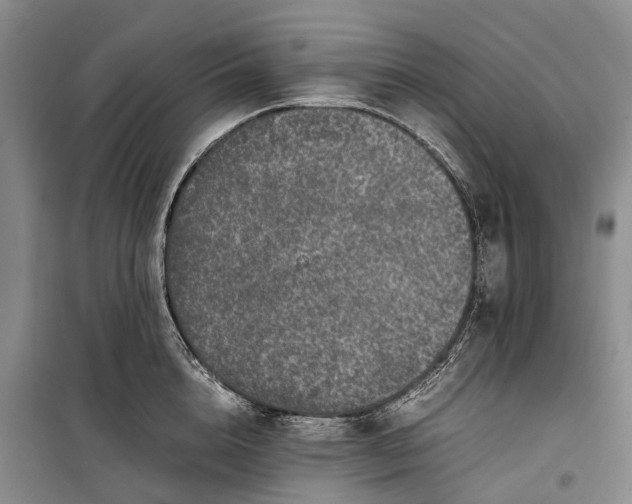 X0000100230856200806131334