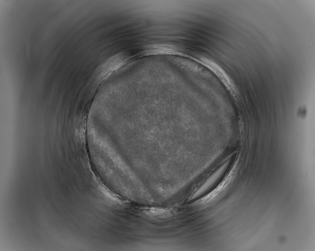 X0000100230857200806131334