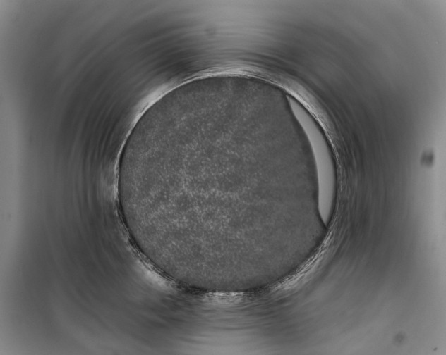 X0000100230858200806131334