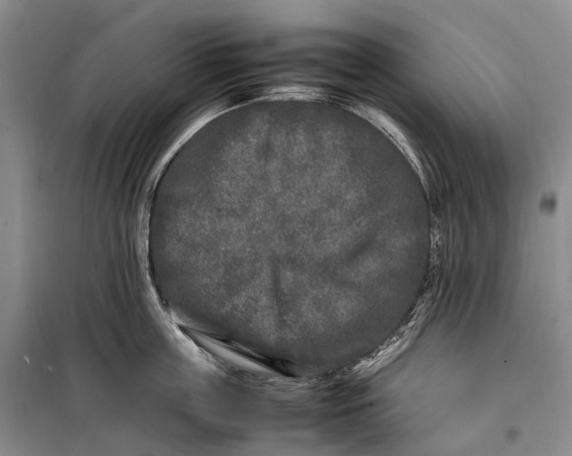 X0000100230859200806131334