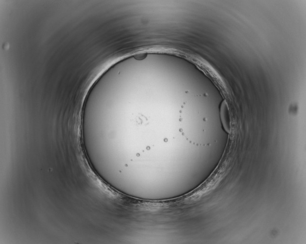 X0000100230860200806131334