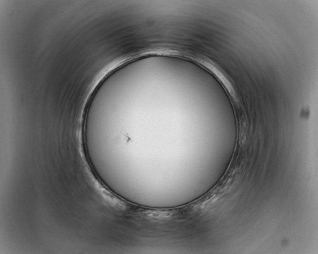 X0000100230861200806131335