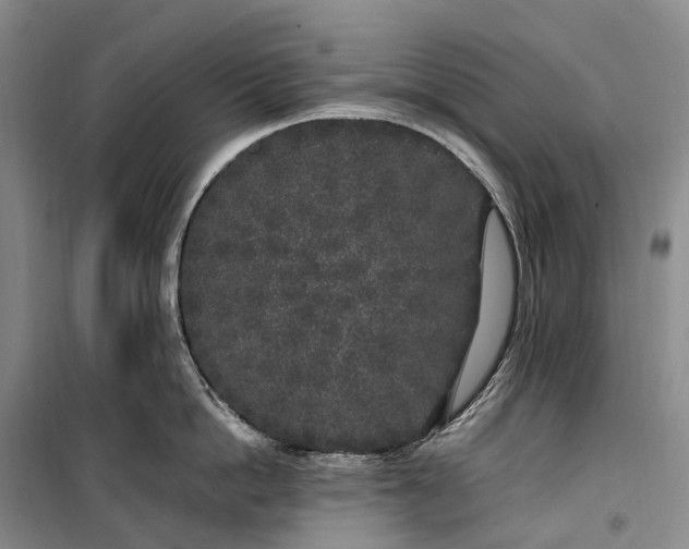 X0000100230862200806131335