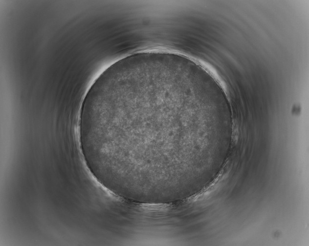 X0000100230863200806131335