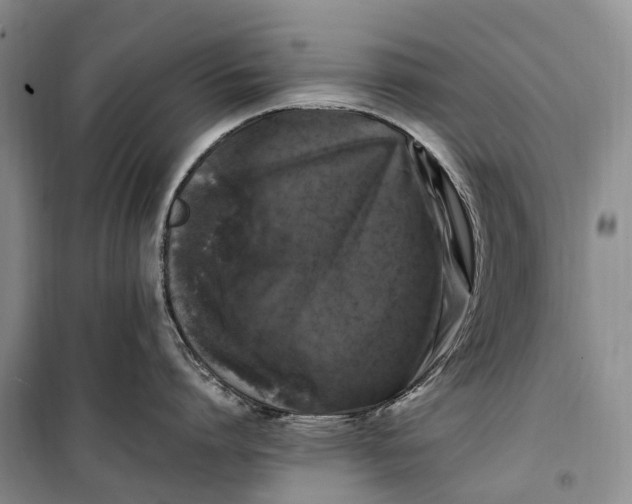 X0000100230864200806131335