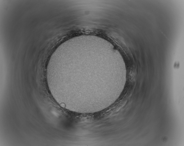 X0000100230865200806131334