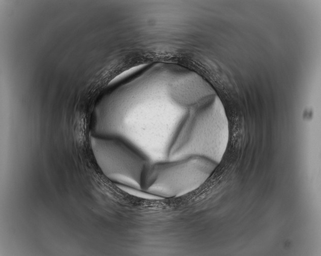 X0000100230866200806131334