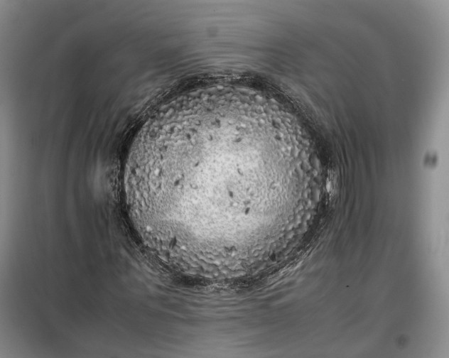 X0000100230867200806131334