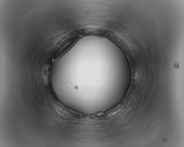 X0000100230868200806131334