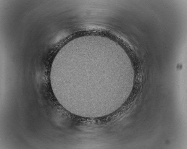 X0000100230869200806131334