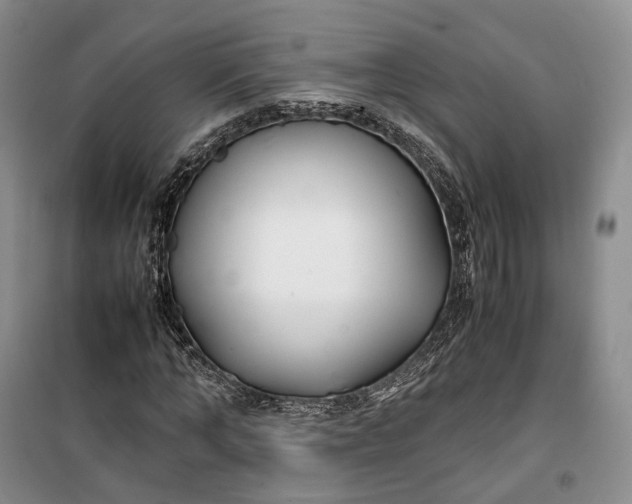 X0000100230870200806131334