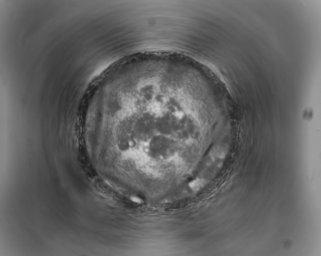 X0000100230871200806131334