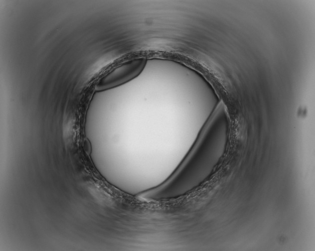 X0000100230872200806131334