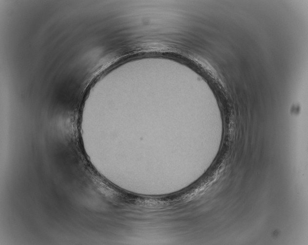 X0000100230873200806131334