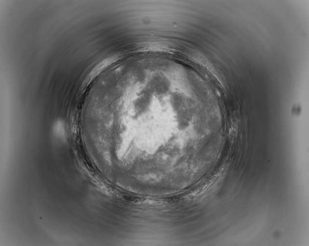 X0000100230874200806131334