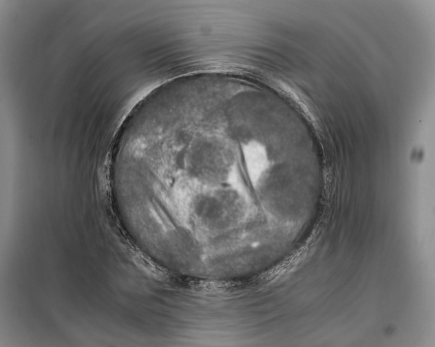 X0000100230875200806131334