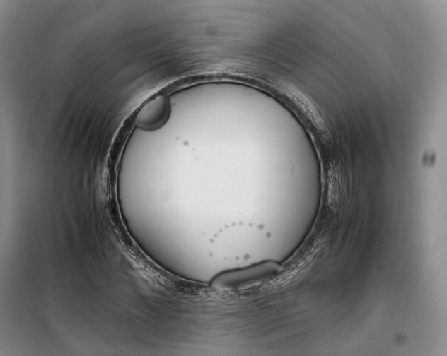 X0000100230876200806131334