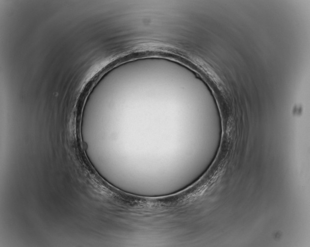 X0000100230877200806131334