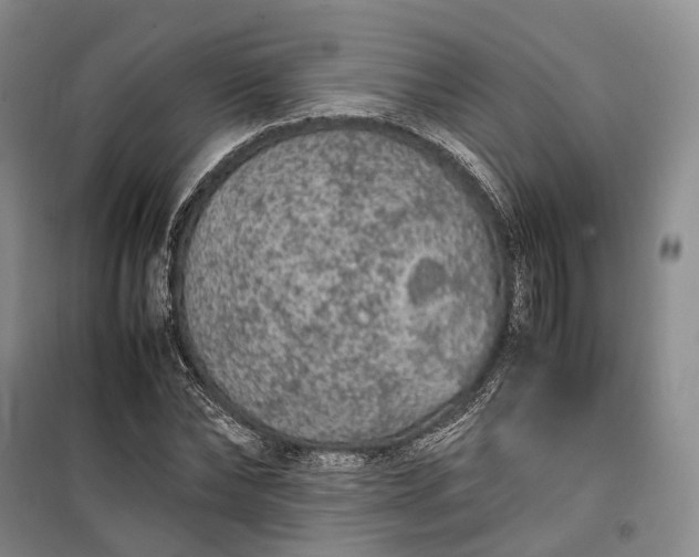 X0000100230878200806131334