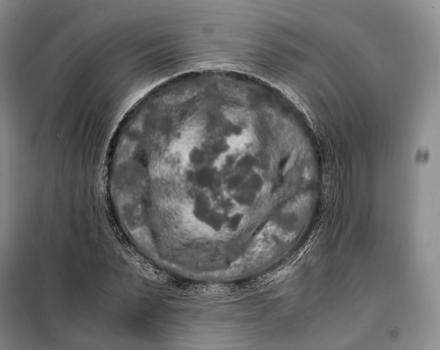 X0000100230879200806131334