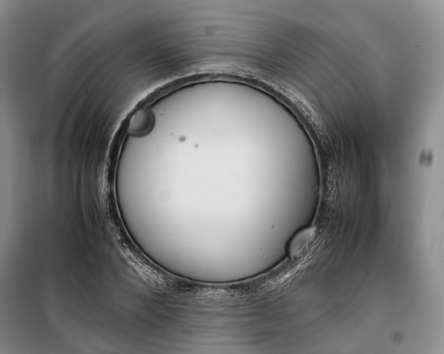 X0000100230880200806131334