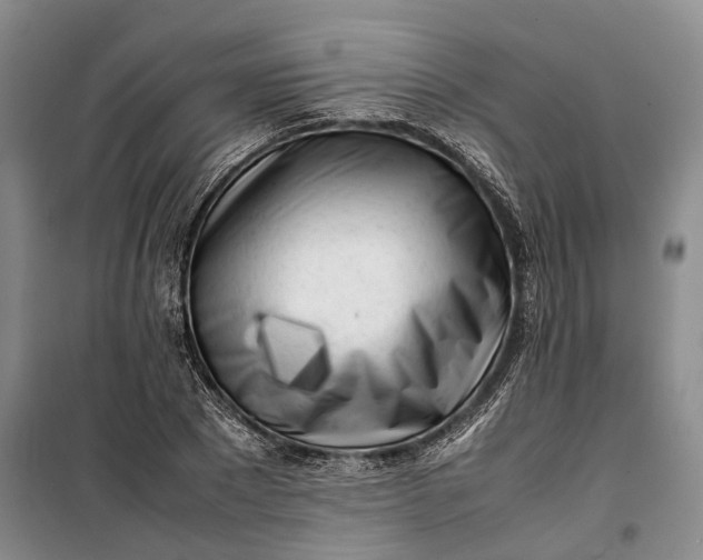 X0000100230881200806131334