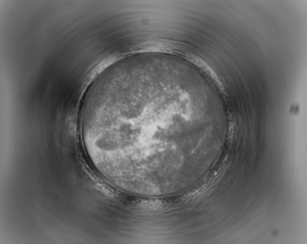 X0000100230882200806131334